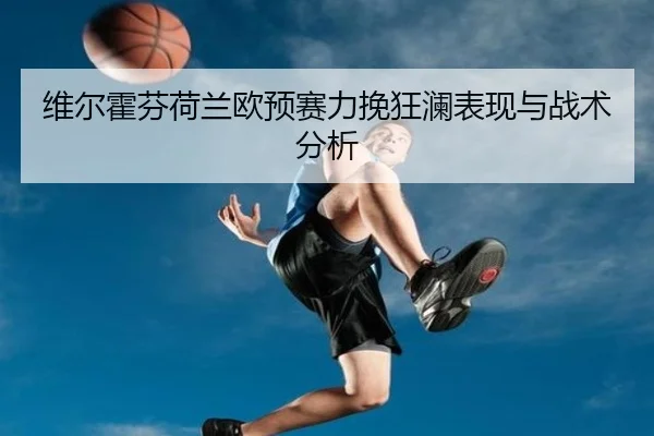 wei-er-huo-fen-he-lan-ou-yu-sai-li-wan-kuang-lan-biao-xian-yu-zhan-shu-fen-xi-2-267.jpg